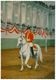 Wien, Spanische Reitschule