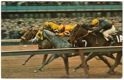 Aqueduct, the big A, Long Island : the finish of the 100,000 added Wood Memorial at Aqueduct in April 1969, Caliborne Farm's Dike, on the outside, was the winner of the mile and a furlong race; Pelican Stable's Al Hattab, No. 7, was second, and Ogden Phipps' Reviewer, No. 1A, was third