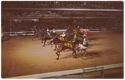 Roosevelt Raceway, Westbury, New York, International Night, Highlight of the harness racing season on Long Island in the famed International Trot. The sport's record crowd of 54,861 witnessed the 1960 International at Roosvelt