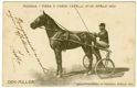 Modena, Fiera e Corse di Cavalli 27-28 Aprile 1902