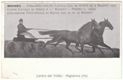 Modena, Fiera-Esposizione Cavalli dal 29 Aprile al 3 Maggio 1905, Corse Cavalli 30 Aprile e 1. Maggio, Premio L. 12350, Esposizione Provinciale di Bovini dal 13 al 15 Maggio