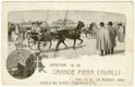 Verona, Grande Fiera Cavalli, dal 9 al 18 Marzo 1908