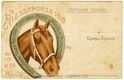 Alessandria 1903 dal 19 al 29 Aprile, Esposizione Fiera Equina, Concorso Ippico, Mostra Zootecnica