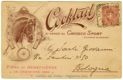 Cocktails, si vende al Chiosco Sport (entrata giardino), Fiera di Beneficenza in Cremona 1899