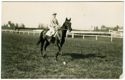 [Fantini a cavallo in un ippodromo]