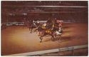 Roosevelt Raceway, Westbury, New York, They're off! Starting gate sends field of standardbreds on their way in action at Roosvelt Raceway, the night pioneer harness racing track. The Long Island track races approximately one-half the year