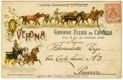 Verona, Grande Fiera di Cavalli dal 9 al 13 Marzo 1903