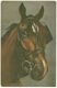 [Brown horse with white blaze, facing right & front, bridle]