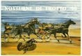 Notturne di Trotto '90