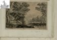 [Paesaggio boschivo]