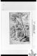 Giaquinto Corrado [Disegni e stampe]
