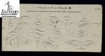 3° Esercizio di Ornati Calligrafici : Combinazioni di svolazzi per ornamento della Scrittura e del carattere gotico