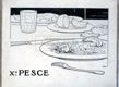 X&deg; Pesce