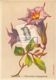 Datura - Charmes trompeurs