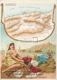 La plus haute R&eacute;compense &agrave; l' Exposition de Bordeaux 1882 Birmingham Au vin de Porto - Ap&eacute;ritif fortifiants : Alg&eacute;rie