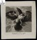 Ganymedes ab Iove raptus : Romae ex tabula in Pinacotheca Com Stabilis Columnae/ Titianus pinxit ; Dom. Cunego sculpsit Romae 1770