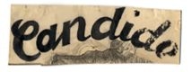Candido