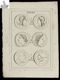 [Antiche monete romane e greche di Roma e Napoli con effigi umane, figure zoomorfe e elementi simbolici, tra cui il motivo della prua rostrata