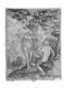 In Adam Omnes Morivntur : I. cor. 15.